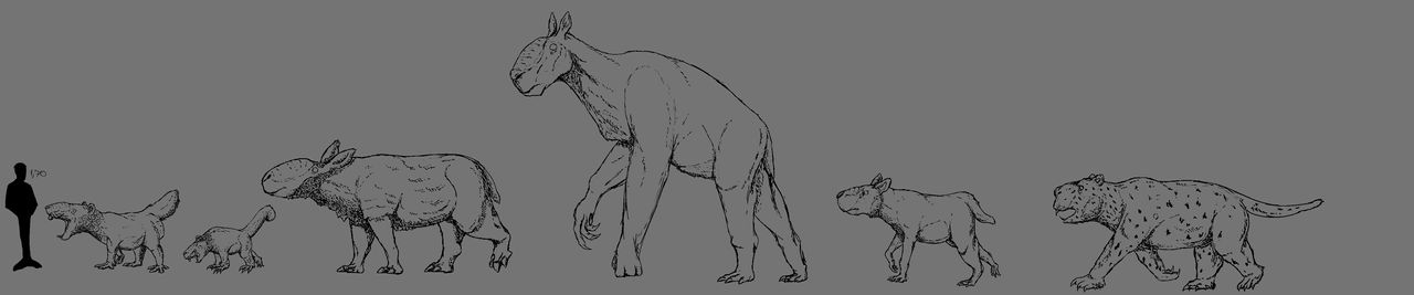 Multituberculate Rabbit speculative multituberculates by ELMOSCQUITTO on DeviantArt