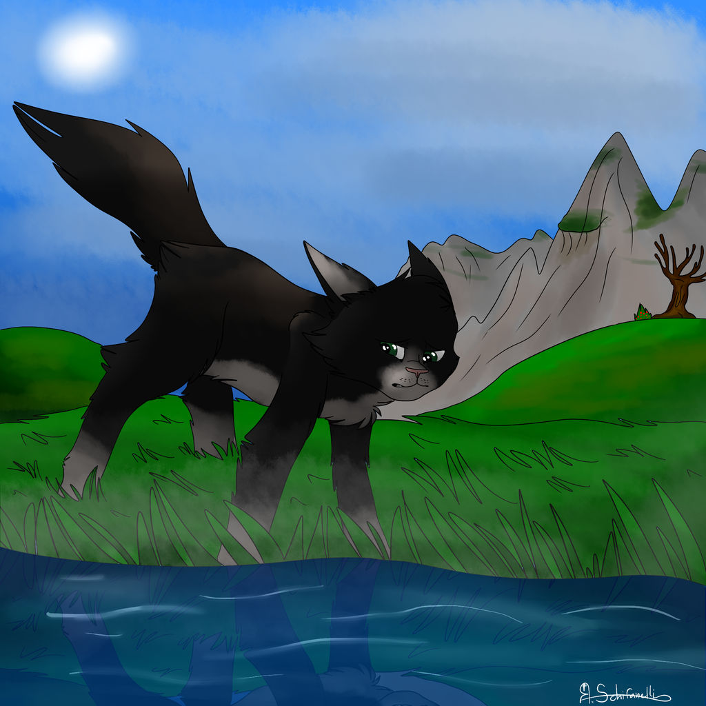 RP- A Strange New Land - Lightening Clan Territory by PiercedDragon on ...