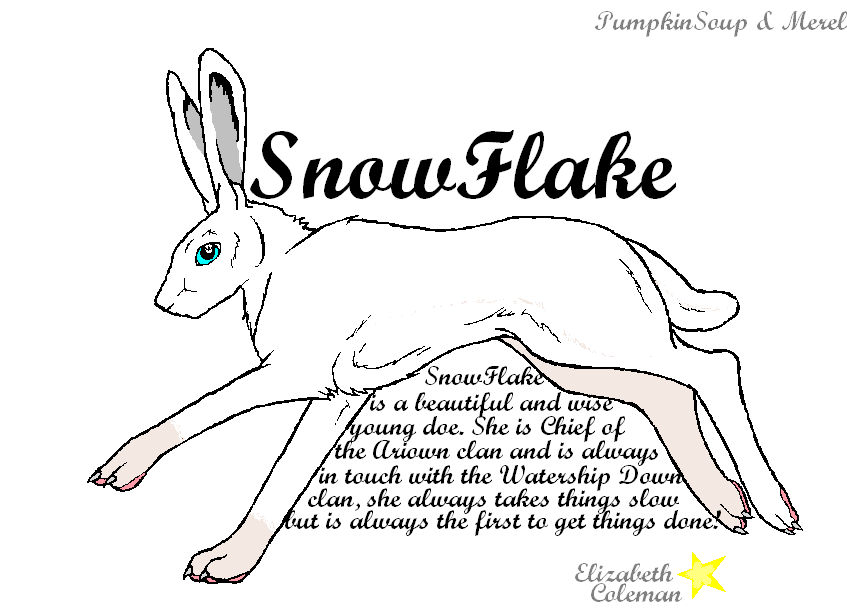 My Character SnowFlake by xZethanyx on DeviantArt