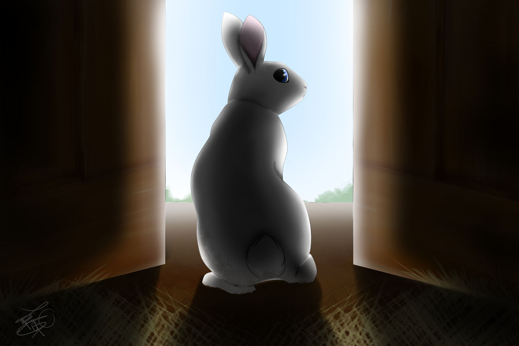 Escape | Rabbit Warriors by xZethanyx on DeviantArt