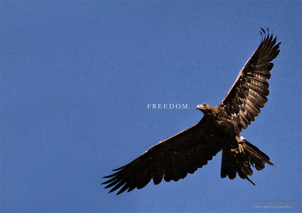 A Taste of Freedom.