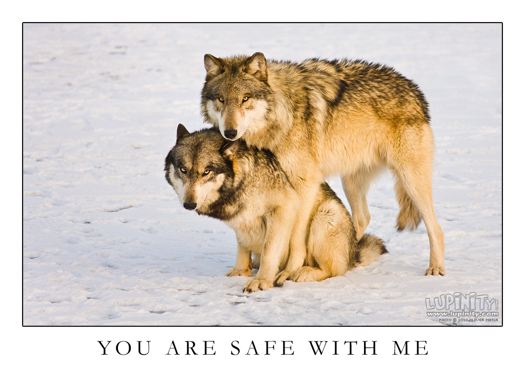 You are safe with me