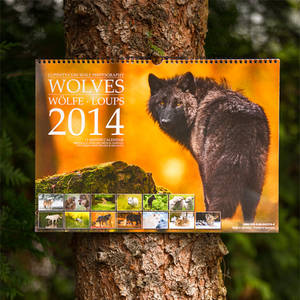 Wolves 2014 Calendar - Lookin' good on the tree! by Lupinicious