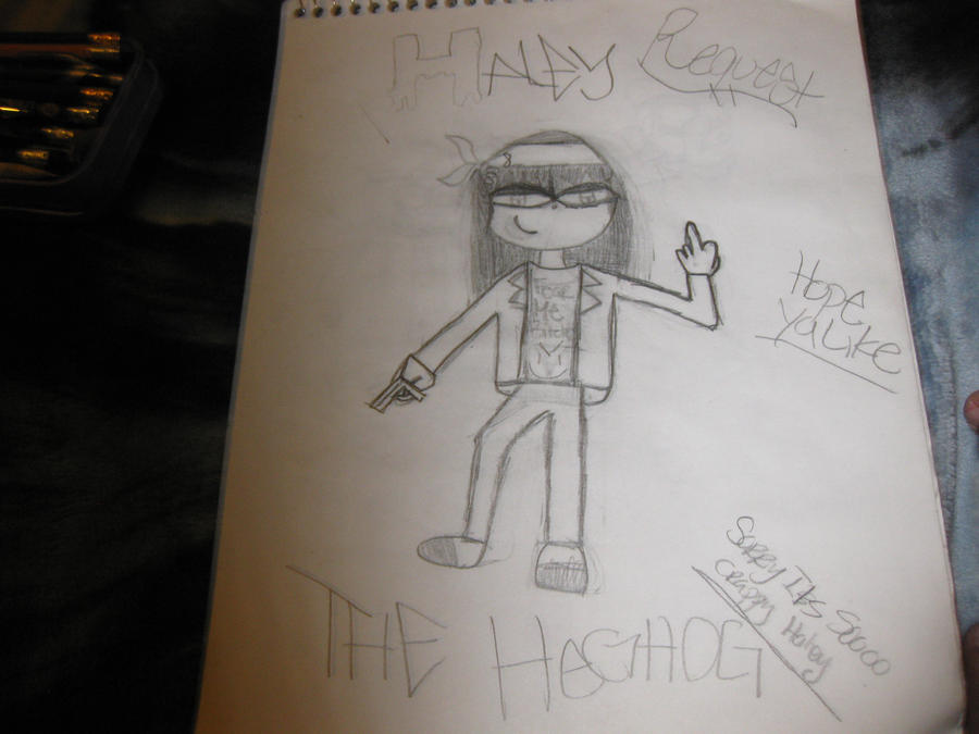 haley the heghogs request
