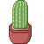 Saguaro (at)