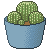 Golden Barrel Cacti (f2u) by mythnight