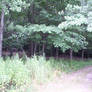 Even More Path Stock