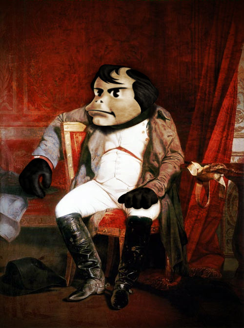 Napolean Monkey Monkey Napoleon by atma33 on DeviantArt