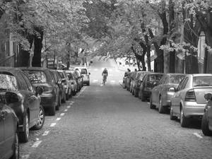 Street in Belgrade