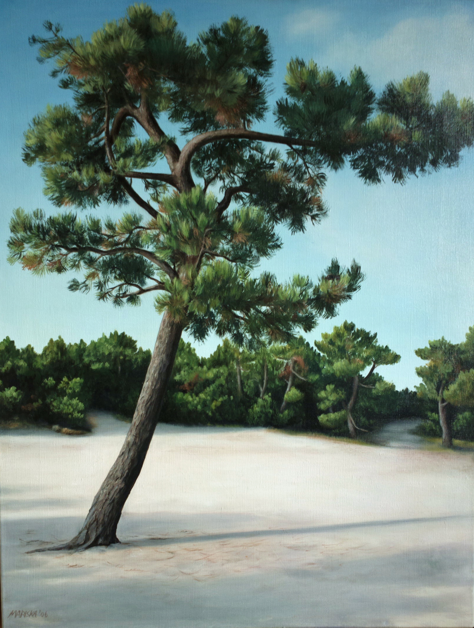 Grove den 1 - oil painting 70 x 90 cm