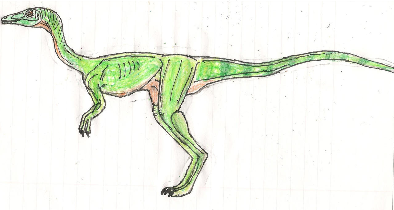 Jurassic Park Compsognathus (aka Compy) by TrefRex on DeviantArt