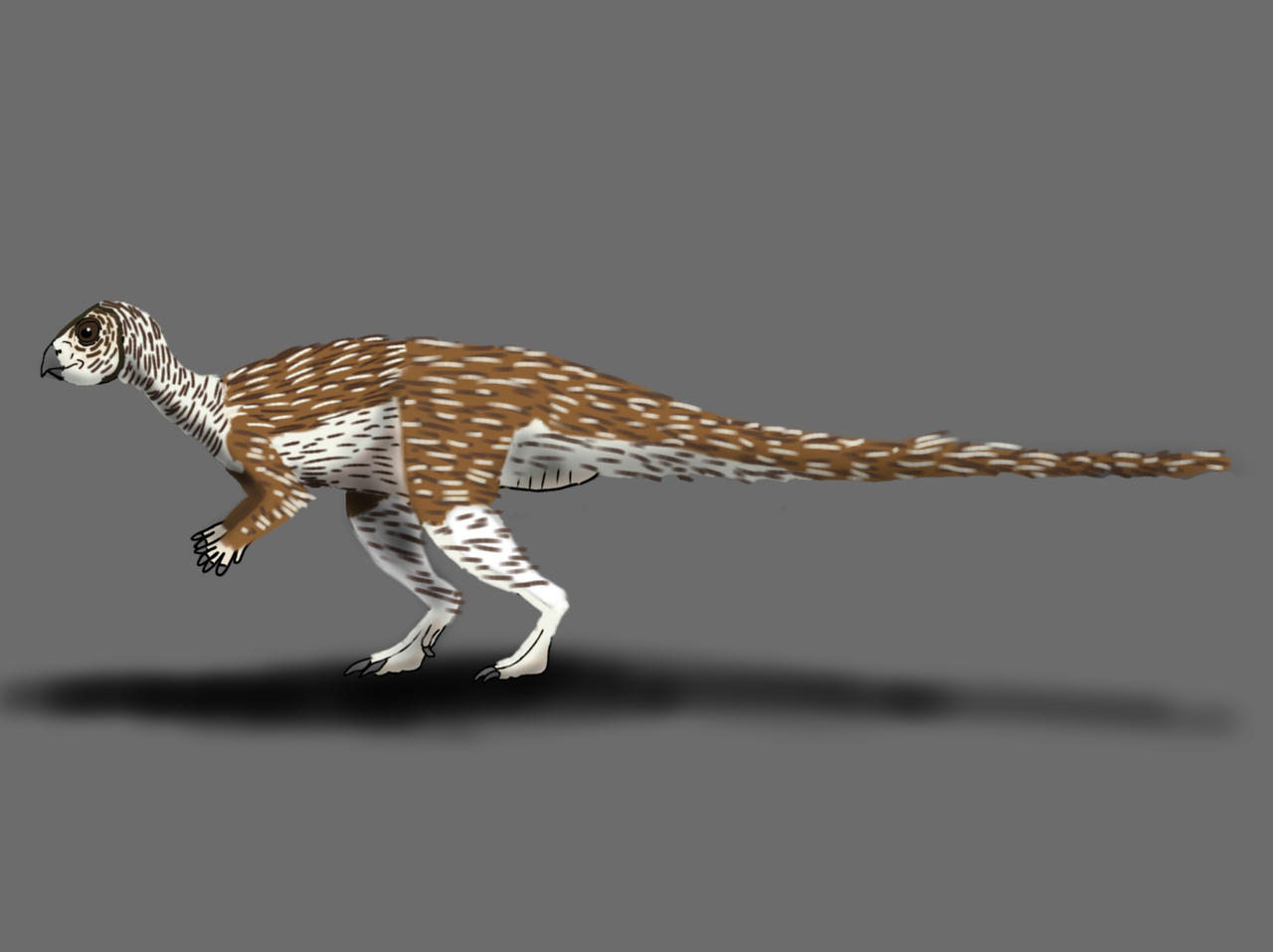 Quantassaurus Qantassaurus intrepidus by TrefRex on DeviantArt