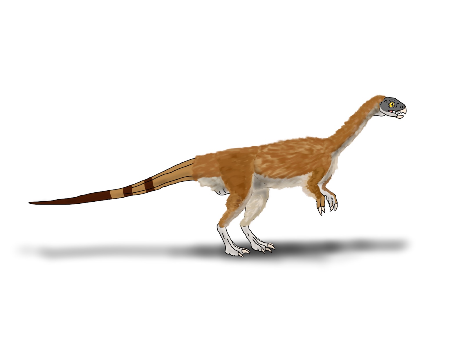 Chilesaurus diegosuarezi by TrefRex on DeviantArt