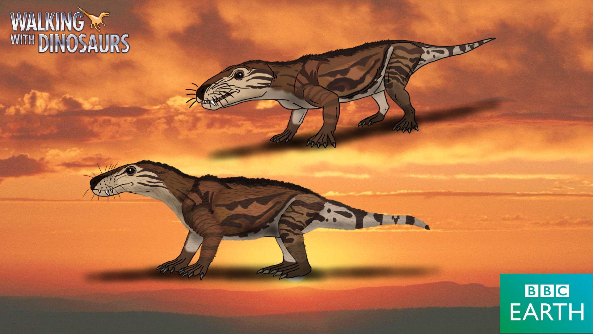 Walking with Dinosaurs: Cynodont by TrefRex on DeviantArt