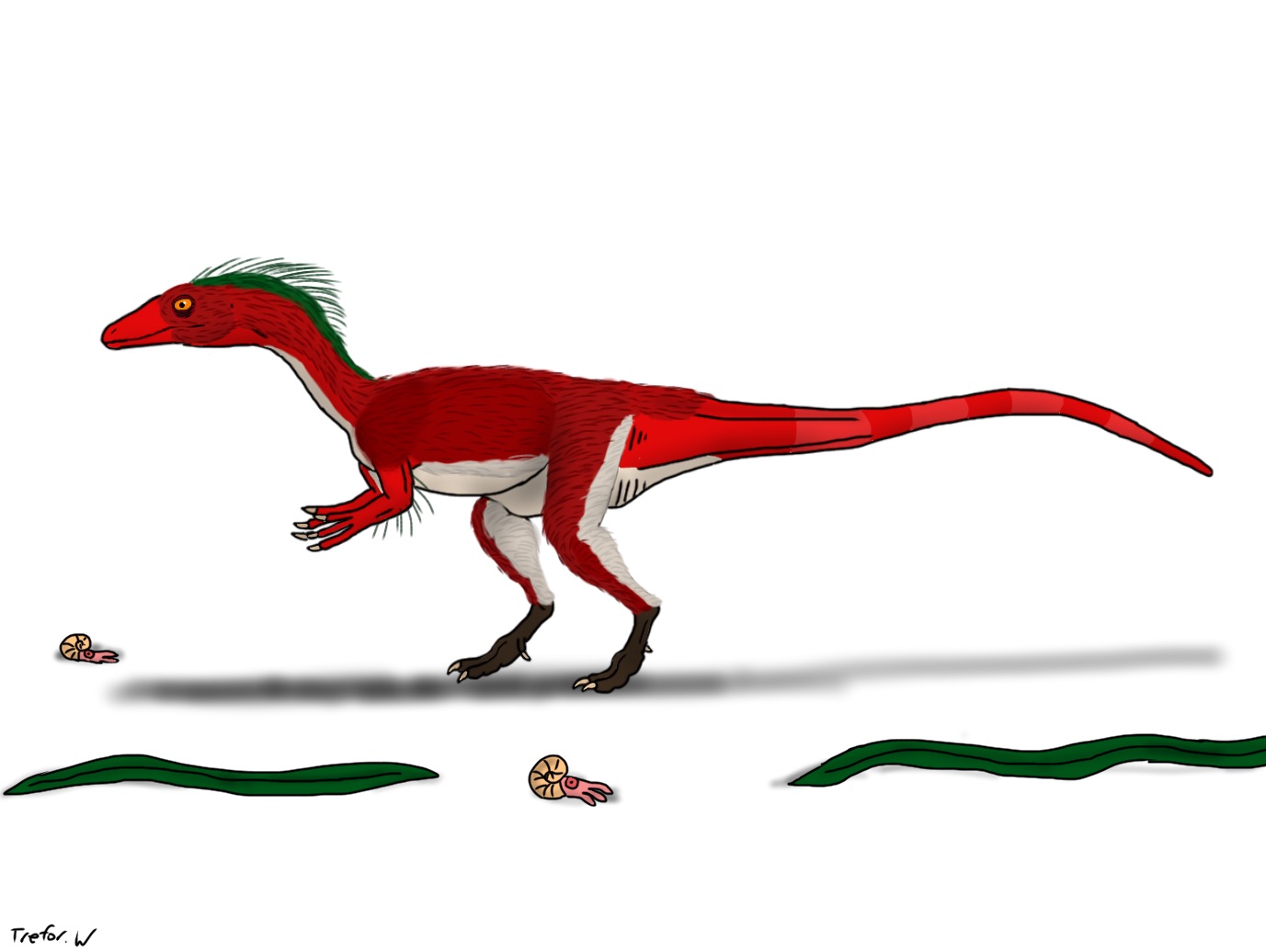 Dracoraptor hanigani