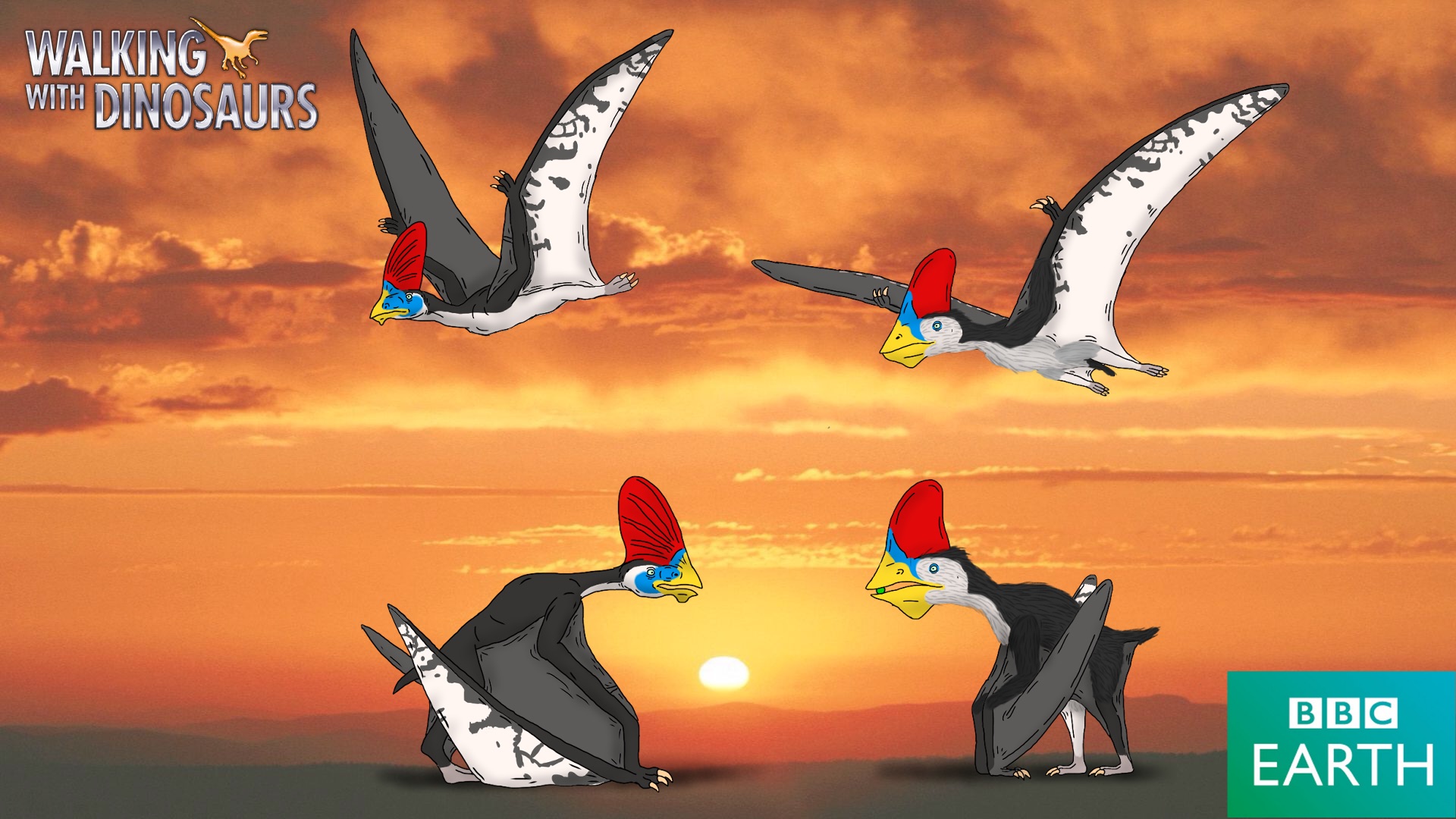 Walking with Dinosaurs: Tupandactylus by TrefRex on DeviantArt