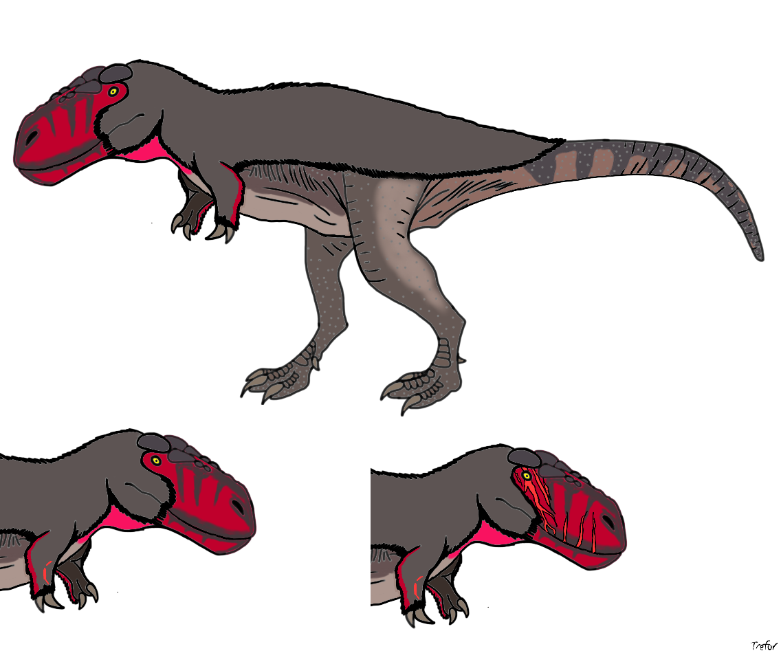 Animal Recast OC: Me as a Tyrannosaurus rex