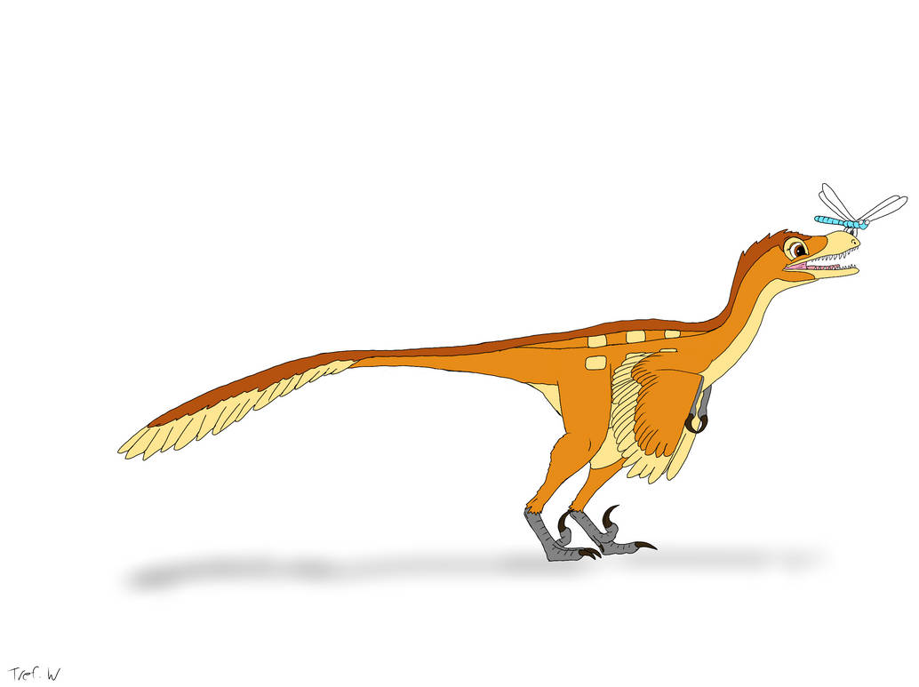 Bambiraptor by TrefRex on DeviantArt