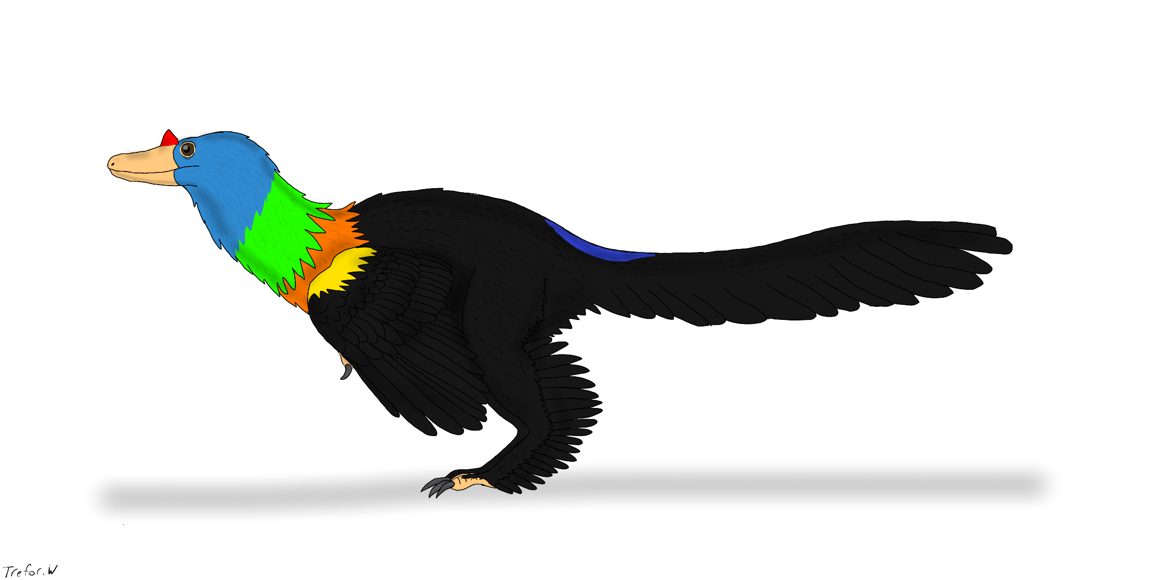Caihong juji