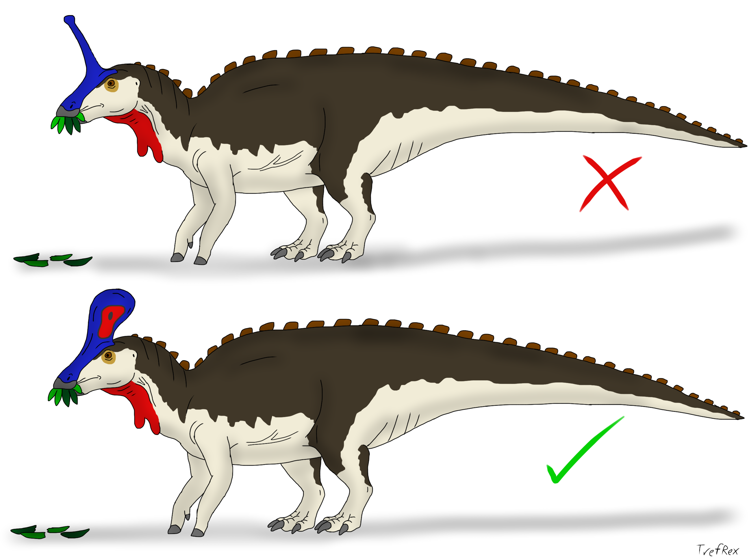 Joshua Dunlop - Mokele-Mbembe