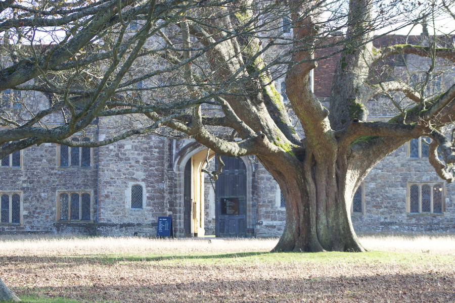 Knole House