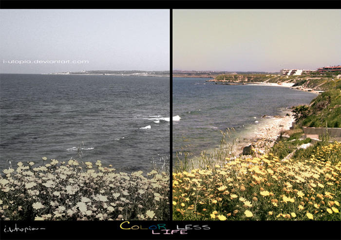 Colorless life by I-Utopia on DeviantArt