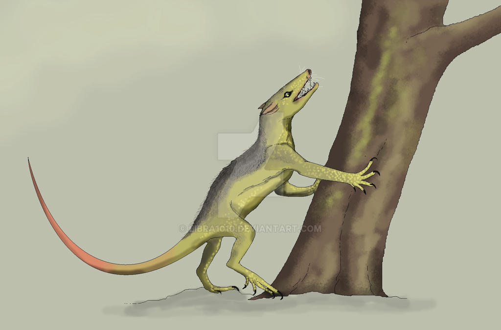 BENNY (BETA CANUM VENATICORUM IV) by Libra1010 on DeviantArt