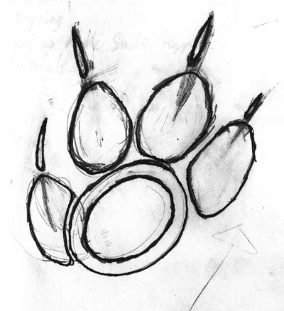 Paw logo thing