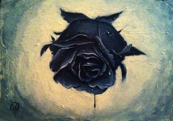 Black Rose (2)