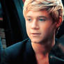 Niall Horan Display 009