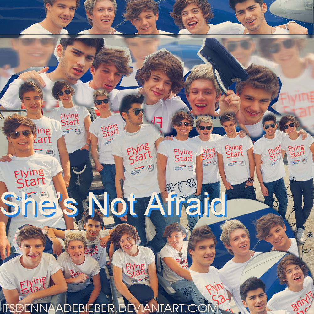 Blend She's Not Afraid de One Direction