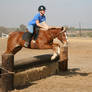 Chestnut Flaxen Mane Mare Eventing Jumping