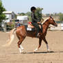 Welsh Cross Mare Chestnut Flaxen Western