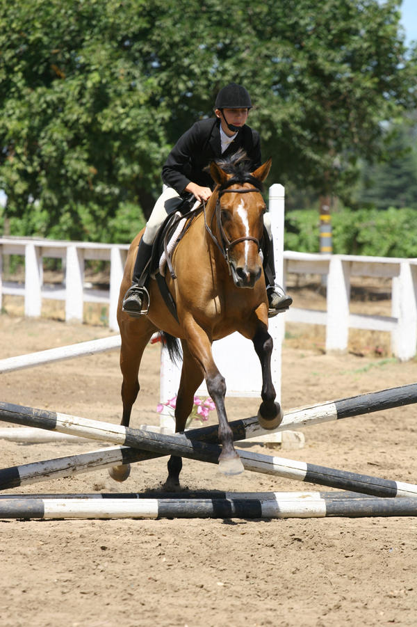 Light Bay Jumping Crossrail Fences by HorseStockPhotos on DeviantArt