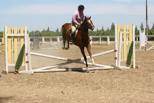 Chestnut Quarter Horse jumping crossrail