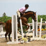 Chestnut Quarter Horse jumping crossrail
