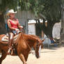 Chestnut Quarter Horse gelding western pleasure