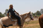 Palomino Paint Mare Western by HorseStockPhotos