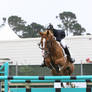 Chestnut Warmblood Grand Prix Jumpers