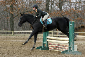 Black Horse Jumping at horse show