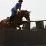 Welsh Cross Mare Chestnut Flaxen Cross Country