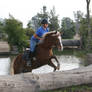 Welsh Cross Mare Chestnut Flaxen Cross Country