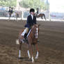 Welsh Cross Mare Chestnut Hunter Under Saddle Show