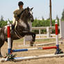 Appaloosa Hunter/Jumper Horse Show