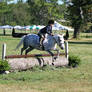 Dapple Gray Cob, Myopia Horse Show