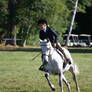 Dapple Gray Welsh Pony Hunter Horse Show