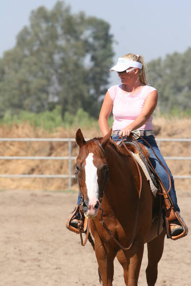 Chestnut AQHA Quarter Horse Champion