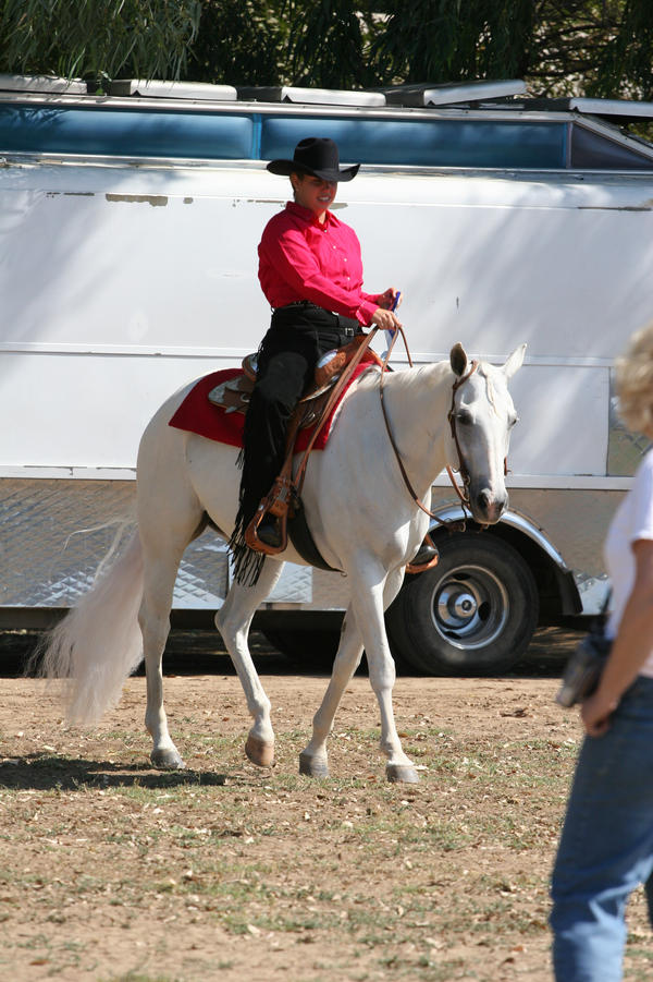 Gray White Quarter Horse Western Pleasure