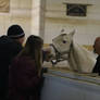 White Pinto Paint Horse with Crowd Headshot