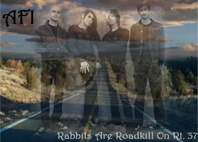 Rabbits Are Roadkill On Rt. 37 by OhMyBeautifulOne on DeviantArt